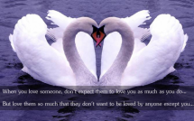 When you love someone, don't expect them to love you as much as ...