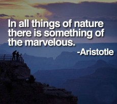 In all things of nature there is something of the marvelous ...