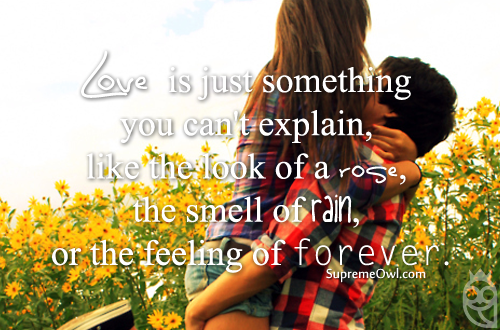 Love is just something you can't explain, like the look of a rose ...