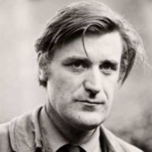 ted hughes the unauthorised life