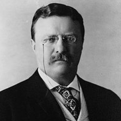 Theodore Roosevelt Quotes, Famous Quotes by Theodore Roosevelt | Quoteswave