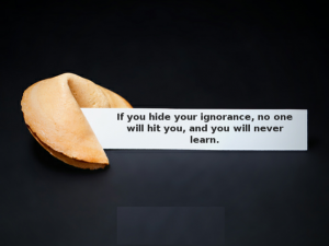 If you hide your ignorance, no one will hit you, and you will... | Ray ...