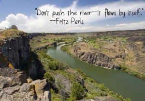 Don't push the river - it flows by itself. | Fritz Perls Picture Quotes ...