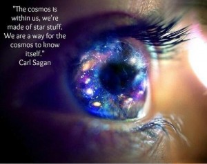 The cosmos is within us, we're made of star stuff. We are a... | Carl ...