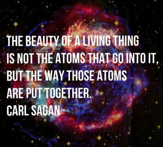 The beauty of a living thing is not the atoms that go into... | Carl ...