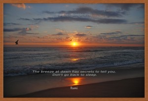 The breeze at dawn has secrets to tell you. Don't go back to... | Rumi ...